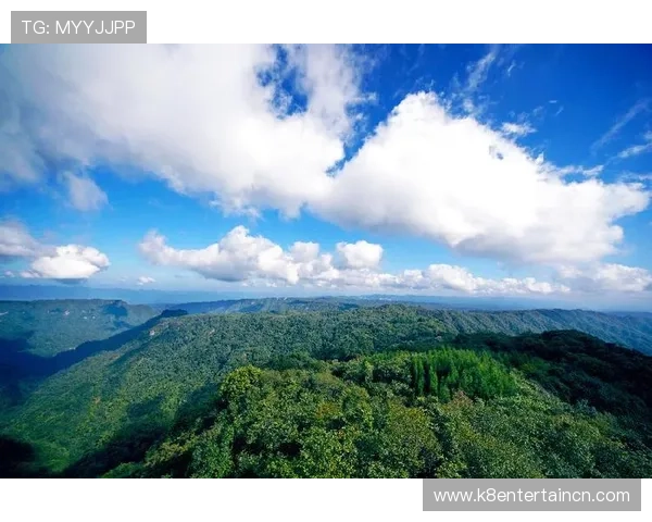 K8体育地址官方入口详细介绍,提供安全稳定的登录体验和最新资讯 K8体育地址官方入口详细介绍,提供安全稳定的登录体验和最新资讯